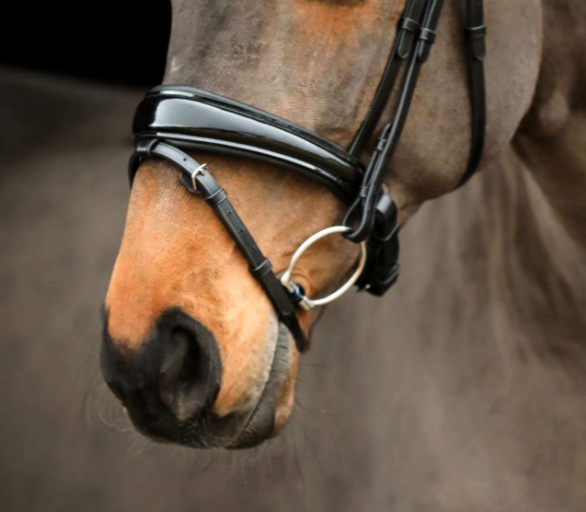 Satin Noseband